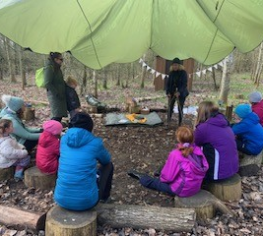 go wild in the woods